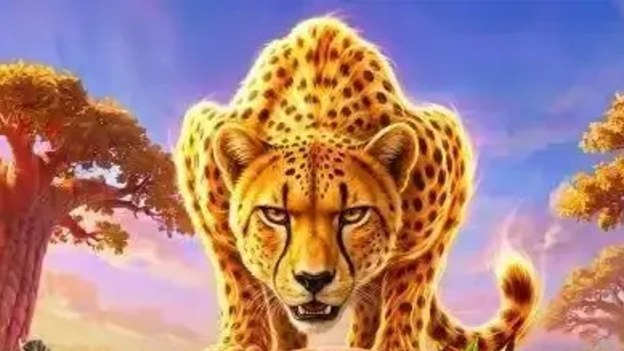 Cheetah Wild Demo - Play for free by Pragmatic Play